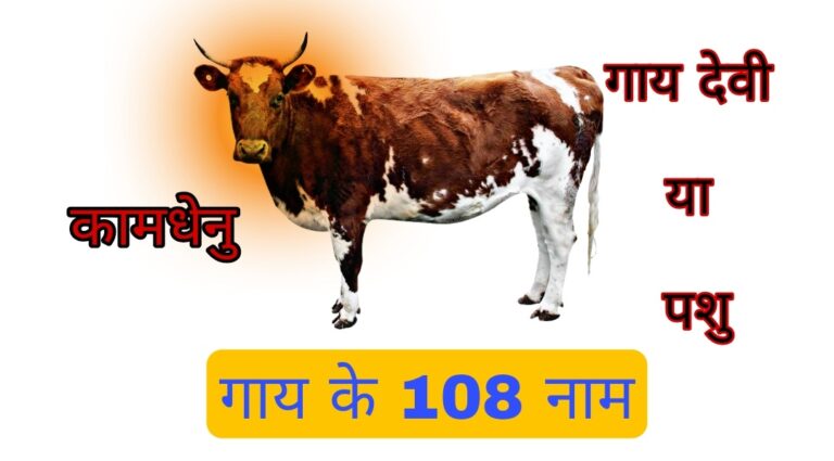 कामघेनु : Gau Mata Ek Devi Ya Pashu | गाय के 108 नाम और उनकी महिमा